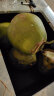 海南椰青带皮椰子青椰热带水果孕妇水果六个装 晒单实拍图