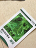 北蔬 冰菜种子种苗厚叶冰草四季蔬菜种籽 卓脆水晶沙拉冰菜种子1100粒 实拍图