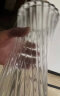 墨斗鱼玻璃花瓶假花仿真花插花摆件富贵竹水培植物小蛮腰透明花瓶1595 实拍图