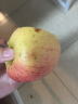 新疆阿克苏冰糖心苹果新鲜水果时令丑苹果节日送礼礼盒 带箱9.5斤中果（净果8.5斤礼盒装） 晒单实拍图