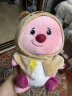 名创优品（MINISO）LOOPY变装独角兽公仔毛绒玩偶玩具抱枕毕业生日礼物女 粉色款 晒单实拍图