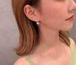 迪后（Dirholl）品牌一周耳钉套装女高级感耳环气质网红耳坠情人节生日礼物送女友 网红气质耳环套装【精美礼盒】 实拍图