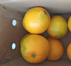 译优农正宗江西赣南脐橙赣州橙子新鲜当季孕妇水果手剥橙甜橙纽荷尔香橙 精品10斤大果带箱【保温箱】净重9斤+ 实拍图