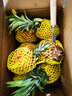 粤品广东湛江徐闻香水菠萝海南新鲜金钻凤梨装云南小菠萝水果 5斤中果 实拍图