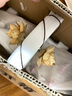 美学黑客禅意中式玄关客厅样板间干花花束真花天然干莲蓬荷花落地装饰摆设 一支浅色荷花 主图 实拍图