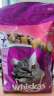 伟嘉成猫猫粮1.3kg牛肉味布偶蓝猫橘猫加菲英短猫咪全价粮 实拍图
