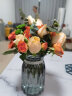 盛世泰堡北欧玻璃花瓶插花瓶干花仿真花小花瓶客厅装饰摆件 实拍图