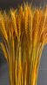 花沃里金色大麦约200支 麦穗干花仿真花假花开业乔迁装饰客厅摆件插花束 实拍图