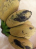 帆儿庄园新鲜广西小香蕉水果小米蕉蕉新鲜水果整箱当季鲜苹果蕉自然熟粉蕉 1.5kg 晒单实拍图