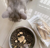 PetChoice爪子心选猫咪零食冻干宠物狗狗鸡胸肉多春鱼三文鱼干鸭肉牛肝蛋黄 三文鱼冻干50g 实拍图