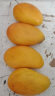京鲜生 海南红心芭乐 番石榴 2粒装  单果约150g起  水果 实拍图