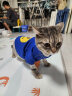 乐卡利 猫咪宠物衣服服饰潮牌秋冬小奶猫防掉毛笑脸卫衣猫猫秋衣秋冬 猫咪衣服【蓝色 XL】 实拍图