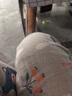 ober 膝关节护膝 医用膝盖积水积液髌骨固定带韧带损伤护具 黑色(单个) 均码(大小可调) 实拍图