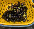京鲜生 智利玫瑰香Sable无籽黑提 2kg礼盒装 新鲜葡萄/提子生鲜水果 实拍图