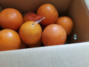 橙之味新鲜伦晚脐橙精品夏橙当季橙子水果产地直发多汁礼盒装节日团购 【精品橙】5斤毛重单个180-200g 实拍图