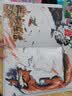 狐狸的朋友（青铜葵花图画书奖银奖作品，一部风格独特的动物寓言图画书，阐述友谊真谛，附赠立体剪纸纸样、戏剧手册，入选2019三叶草年度好童书榜单。）  实拍图