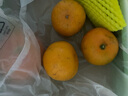京鲜生 东江湖蜜橘 2斤单果50g起 橘子/桔子  生鲜水果 实拍图