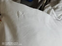 恒源祥儿童袜子男童纯棉薄款春秋男孩全棉软中筒袜透气中大童12岁夏季 【5双装】大眼睛 6-9岁(适合28-32码,脚长16-18cm) 实拍图
