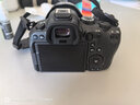 佳能（Canon）r6二代 全画幅微单相机 EOS R6 Mark II 4K数码高清旅游人像vlog摄影机身 r62二代相机 专业级微单 R6二代+24-105STM镜头套机 套餐一【128G卡-双 实拍图