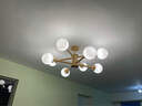 思喆客厅灯具套餐卧室灯餐厅吊灯创意魔豆分子灯日式原木设计师房间灯 原木色-6头单层-三色调光 实拍图