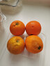 七公主果园（Seven Princess Orchards） 时令新鲜水果精选三峡秭归中华红血橙  单果65-85mm当季红心橙 中华红血橙净重9斤家庭装 实拍图