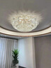 格灯堡简约水晶吸顶灯客厅大灯轻奢新款轻奢餐厅卧室2025套餐中山灯具 圆50CM+无极调光 全光谱 实拍图