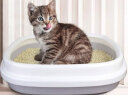 AVOCADO 牛油果 猫砂除臭豆腐猫砂吸水结团除异味宠物猫原味混合猫砂 原味2.0猫砂*1包(共2.5kg) 实拍图