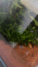 云峰海瑞黑壳虾清洁虾观赏虾 鱼缸水族箱水草缸清洁除藻淡水 【漂亮清洁虾】烤漆虾5只 实拍图