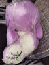 莫肖尔澳洲紫色薰衣草小熊娃娃大号薰衣草香味抱抱熊公仔毛绒玩具送女生 60厘米 晒单实拍图
