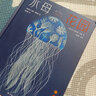 水母花园 实拍图