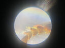 凤凰（Phenix) XSP-06单目生物显微镜1600倍专业高清科学实验家用便携 实拍图