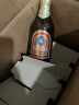 青岛啤酒（TsingTao）精酿系列 金质小棕金低温酿造296ml*24瓶 整箱装  春日出游 实拍图