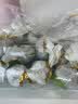 滇吉號早春景迈山一芽一叶月光白小龙珠茶叶手工月光美人茶500克盒装 实拍图