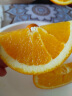 沙窝曙光湖北纽荷尔脐橙子高山手剥甜橙子榨汁新鲜当季时令水果生鲜 3斤装 60-65mm 实拍图