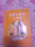 班班共读一年级小巴掌童话黑熊和森林小木屋安徽少年儿童出版社小老鼠稀里哗啦桥梁注音版春风文艺出版社大头儿子和小头爸爸玩具医院注音美绘版长江少年儿童出版社核桃山桥梁注音版春风文艺出版社父与子精编彩图系列  实拍图