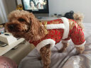 华元宠具（hoopet）小狗狗过年唐装喜庆衣服小型犬四脚泰迪比熊吉娃娃宠物秋冬季服装 双层加厚四脚唐装 S:参考体重2-4斤 实拍图