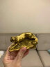 明恩铜十二生肖摆件纯黄铜鼠牛虎兔龙蛇马羊猴鸡狗猪全铜属相家用 十二生肖-小号子鼠 实拍图