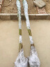 苗彩大叶香樟树苗四季常青绿化苗木香樟树小苗可庭院绿化树苗庭院树苗 2公分粗苗 壮苗 实拍图