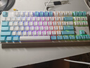 艾石头NA87pro 系列键盘  87键游戏键盘 HIFI音 双手感可调磁轴  socd na87mag白色 socd 实拍图
