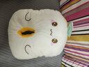 富居毛巾绣抱枕 沙发靠枕头车用办公室床头护腰背靠垫腰托 emo猫 实拍图