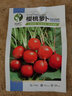 元井汇（YUANJINGHUI）蔬菜种子四季播盆栽阳台庭院香菜生菜菠菜小葱简单秋易种籽孑大全 樱桃萝卜（约500粒） 实拍图