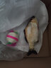 美悦宠物 猫玩具逗猫棒猫咪玩具USB充电激光逗猫笔激光灯激光棒逗猫用品 4层蓝色旋转玩具6件套 实拍图