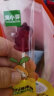 窝小芽儿童零食mini棒棒糖（混合口味） 无糖休闲零食28g/袋 实拍图