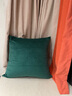 沁汐靠枕天鹅绒轻奢超柔ins靠垫套简约大靠背垫客厅丝绒纯色沙发抱枕 祖母绿 65cm*65cm 含枕芯 实拍图