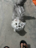 MinkSheen猫粮桶密封狗狗粮桶猫粮狗粮储粮桶防潮收纳箱子密封存储盒子 灰色大号白底【18-22斤装 粮杯+干燥剂】 实拍图