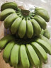 探味君 广西香蕉 小米蕉 新鲜水果带箱 9斤 实拍图