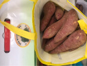 福建六鳌红薯 3kg装 单果重150g -500g 新鲜蔬菜  实拍图