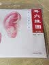 国家标准耳穴挂图(真人版) 睢明河 著 中国中医药出版社 耳疗穴位图书 实拍图