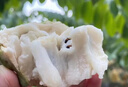 采缇（CAITI）现货大目凤梨释迦果5斤 新鲜番荔枝佛头果水果孕妇整箱 一个装（单果250g左右中通快递） 实拍图