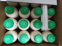 李子园甜牛奶乳饮料原味饮品450ml*10瓶整箱学生儿童奶营养早餐奶整箱 晒单实拍图